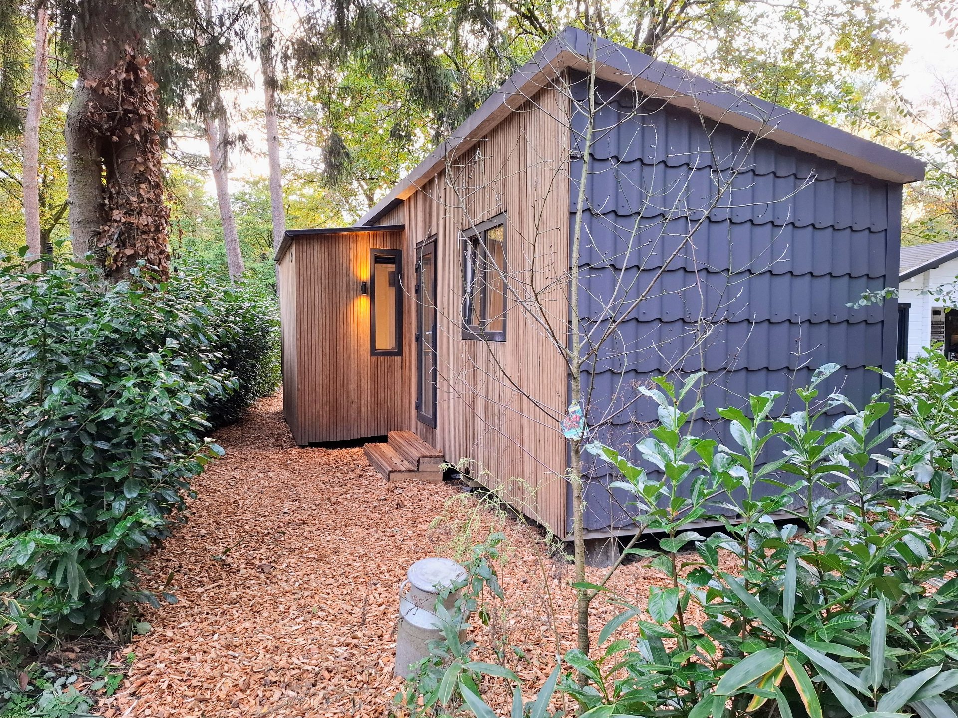 Forest Cabin